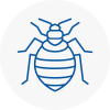 Bed Bug Extermination In Sunbury