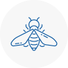 Bee Nest Removal Sunbury