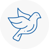 Bird Prevention Sunbury