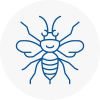 Sunbury Hornet Nest Removals