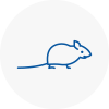 Mice Exterminators In Sunbury