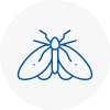 Moth Control Specialists In Sunbury