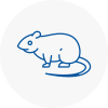 Rat Control Sunbury