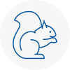 Sunbury Rodent Removals