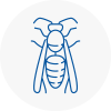 Sunbury Wasp Nest Removal